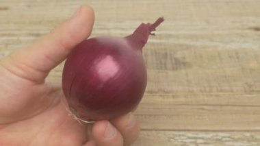 Parlak ve canlı bir kırmızı soğan, ahşap bir arka plana karşı bir elde tutuluyor. Mutfak için ideal.