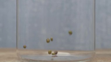 Canlı yeşil mercimeğin yakın plan çekimi cam bir kavanoza dökülüyor, eşsiz dokusunu ve zengin rengini sergiliyor.