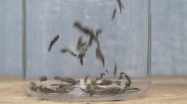 Çarpıcı bir yakın plan resmi, kurumuş yeşil çay yapraklarının zarif bir cam kavanoza dökülüşünü tasvir eder.