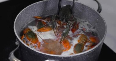Canlı kerevitler yemek pişirmek için kaynar suya atılır. Canlı kerevit pişiriyorum..