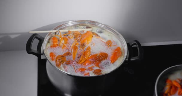 Живих Раків Кидають Киплячу Воду Приготування Їжі Приготування Живих Раків — стокове відео