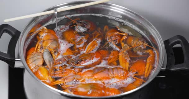 Live Crayfish Thrown Boiling Water Cooking Cooking Live Crayfish — Stock Video