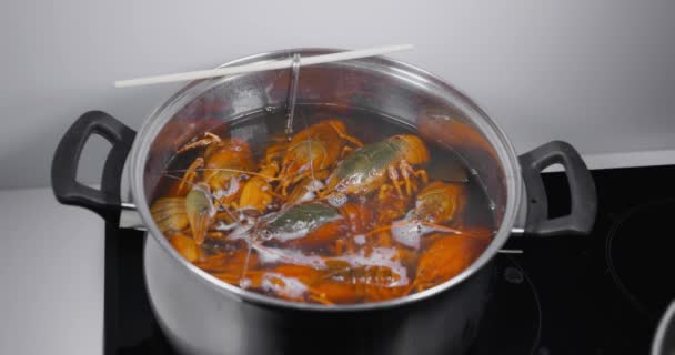 生きたザリガニを煮沸して調理する 生きたザリガニを調理する 高品質4K映像 — ストック動画