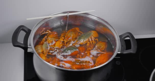 Ζωντανές Καραβίδες Ρίχνονται Βραστό Νερό Για Μαγείρεμα Μαγειρεύω Ζωντανά Καραβίδες — Αρχείο Βίντεο