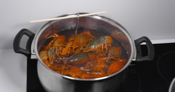 鲜活的小龙虾被扔进沸水中烹调 煮活的小龙虾 高质量的4K镜头 — 图库视频影像