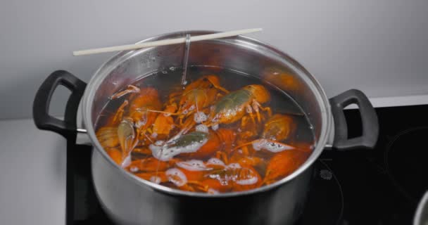 鲜活的小龙虾被扔进沸水中烹调 煮活的小龙虾 高质量的4K镜头 — 图库视频影像