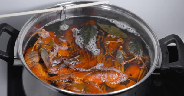 Ζωντανές Καραβίδες Ρίχνονται Βραστό Νερό Για Μαγείρεμα Μαγειρεύω Ζωντανά Καραβίδες — Αρχείο Βίντεο