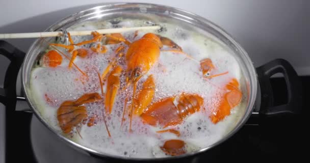 生きたザリガニを煮沸して調理する 生きたザリガニを調理する 高品質4K映像 — ストック動画