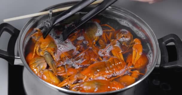 Canlı Kerevitler Yemek Pişirmek Için Kaynar Suya Atılır Canlı Kerevit — Stok video