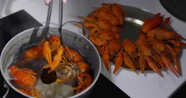 Canlı kerevitler yemek pişirmek için kaynar suya atılır. Canlı kerevit pişiriyorum. Yüksek kalite 4k görüntü