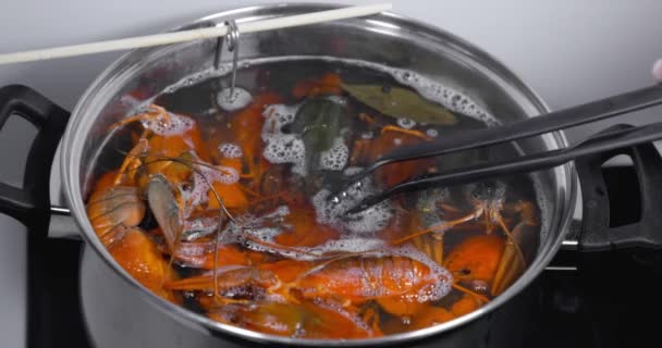 Живых Раков Бросают Кипящую Воду Приготовления Пищи Готовить Живых Раков — стоковое видео