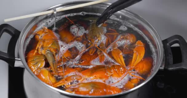 Los Cangrejos Río Vivos Echan Agua Hirviendo Para Cocinar Cocinar — Vídeo de stock