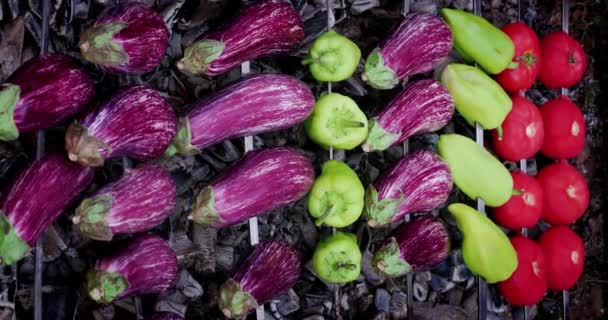 Legumes Grelhados Espetos Prato Tradicional Caucasiano Legumes Grelhados Pimentos Tomates — Vídeo de Stock