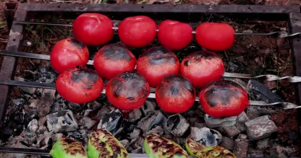 Legumes Grelhados Espetos Prato Tradicional Caucasiano Legumes Grelhados Pimentos Tomates — Vídeo de Stock