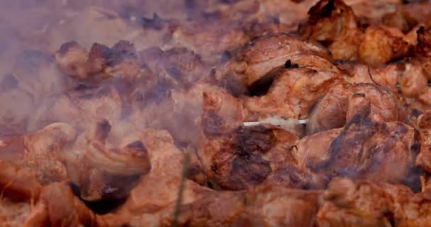 锅上的猪肉烤面包在烤架上的煤块上煎 从上面看烤肉烤肉乡村的野餐 烧烤季节 — 图库视频影像