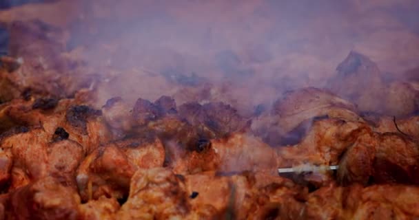 Şişte Domuz Kebabı Izgarada Kömürde Kızartılır Yakın Plan Yukarıdan Bak — Stok video