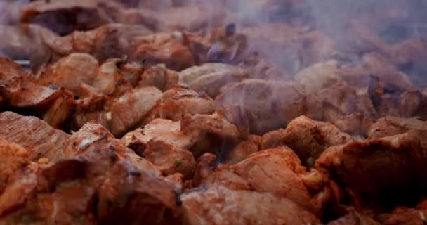 Kebab Maiale Sugli Spiedini Fritto Sui Carboni Alla Griglia Primo — Video Stock