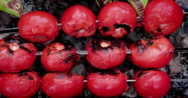 Grilovaná Zelenina Špejlích Tradiční Kavkazské Jídlo Grilované Zeleniny Papriky Rajčata — Stock video