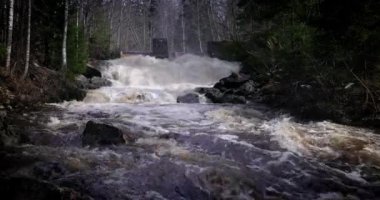 Rusya, Karelia Cumhuriyeti 'nde şelale. Güzel bir şelalenin resimsel doğası ve Karelia ormanlarının vahşi ormanlarında bir tatlı su gölü zümrüt havuzu..