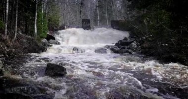 Rusya, Karelia Cumhuriyeti 'nde şelale. Güzel bir şelalenin resimsel doğası ve Karelia ormanlarının vahşi ormanlarında bir tatlı su gölü zümrüt havuzu..