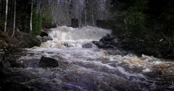 ロシアのカレリア共和国の滝 美しい滝の絵のような自然とKareliaのジャングルの野生の森の淡水湖のエメラルドプール — ストック動画