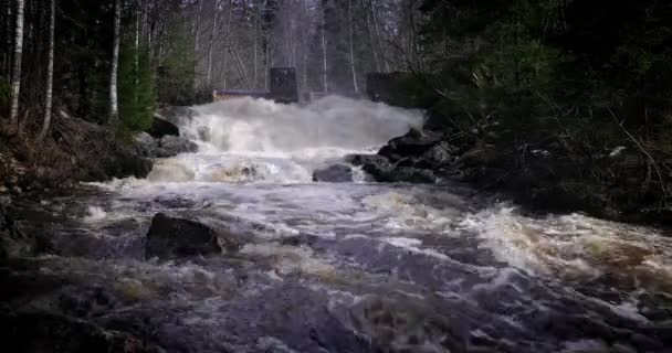 Cascada República Karelia Rusia Pintoresca Naturaleza Una Hermosa Cascada Una — Vídeos de Stock