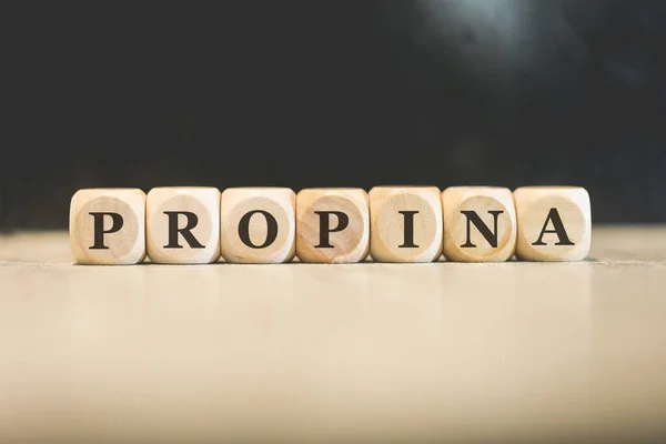 Stock image Inscription BRIBE in Brazilian Portuguese written on wooden cubes. Black background. 