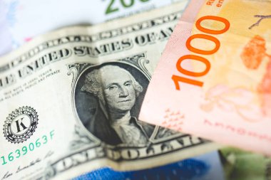 Arjantin pezosu ve Amerika Birleşik Devletleri dolarları. Ekonomi ve finans.