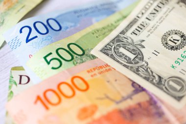 Arjantin pezosu ve Amerika Birleşik Devletleri dolarları. Ekonomi ve finans.