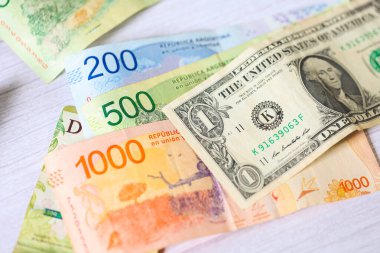 Arjantin pezosu ve Amerika Birleşik Devletleri dolarları. Ekonomi ve finans.