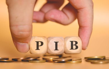 Ahşap küplere yazılmış PIB kısaltmasını oluşturan insanın yakın plan görüntüsü. Stüdyo fotoğrafı. 