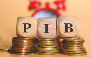 Brezilya Portekizcesinde tahtadan küplere ve bozuk para yığınlarına yazılmış gayri safi yurtiçi hasıla için PIB kısaltması. Stüdyo fotoğrafı.