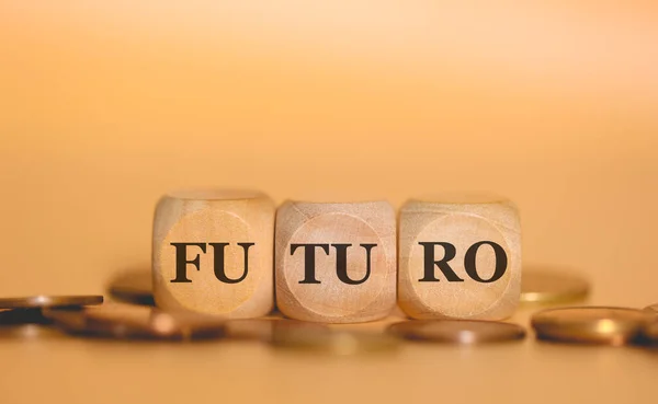 Word Future Portugués Brasileño Escrito Sobre Cubos Madera Pilas Monedas — Foto de Stock