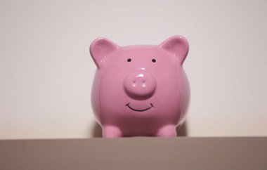 Pembe kumbaranın yakın çekim görüntüsü. Finans kavramı.