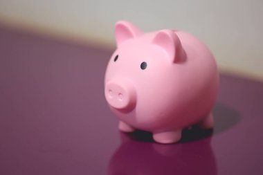 Pembe kumbaranın yakın çekim görüntüsü. Finans kavramı.