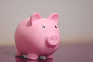 Pembe kumbaranın yakın çekim görüntüsü. Finans kavramı.