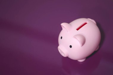 Pembe kumbaranın yakın çekim görüntüsü. Finans kavramı.