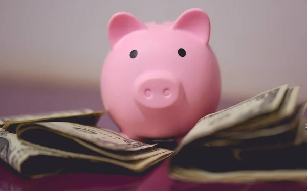 一个小猪银行和美元钞票在紫色的木制家具上 财务概念 — 图库照片