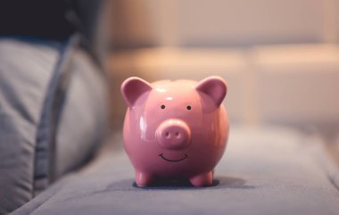Pembe kumbaranın yakın çekim görüntüsü. Finans kavramı.