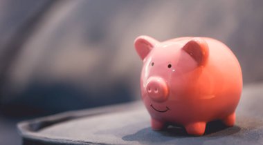 Pembe kumbaranın yakın çekim görüntüsü. Finans kavramı.
