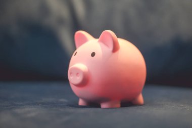 Pembe kumbaranın yakın çekim görüntüsü. Finans kavramı.