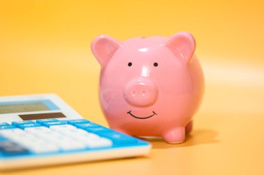 Kumbaranın ve hesap makinesinin yakın görüntüsü. Maliye ve ekonomi kavramı. 