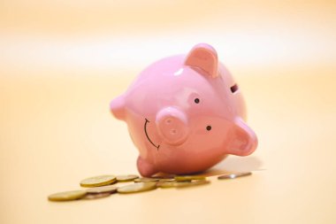 Pembe kumbara ve bozuk paraların yakın plan görüntüsü. Finans kavramı.