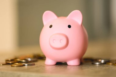 Para, finans ve ekonomi kavramına sahip domuz kumbarasının yakın plan görüntüsü
