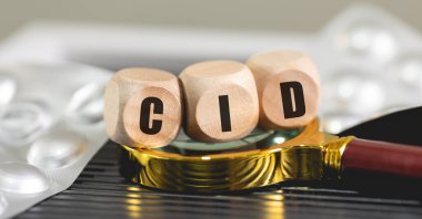 Uluslararası Hastalıklar Sınıflandırması 'nın kısaltması olan ICD Brezilya Portekizcesi' nde ahşap zarlar üzerine yazılmıştır. Sağlık, İlaç, Hasta, Hasta