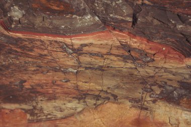 Doku, vahşi doğada kaya oluşumunu çatlattı. Rocky cliff. Soyut taş dokusu. Yüksek dağın dik yamacı. Doğa arka planı, jeolojik yapı. Vahşi doğadaki mermer kayalar. Granitin Ayrıntıları