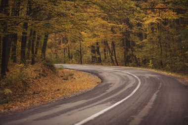 Sonbahar gününde kırsal yol. Kırsal bir arazide toprak yolu olan sonbahar yolu. Sonbaharda çamurlu bir tarlada tekerlek izleri olan arazi açık arazide bulutlu bir havada. Dramatik stil.