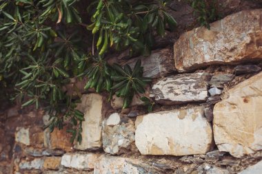 Güzel desenli kuru taş duvar. Yeşil bitkilerle dolu devasa bir taş zemin. Yosunlu kırsal italyan taş duvarı fotoğraf dokusunu kapat. Yeşil yosun taşın üstünde, yakın plan. Eski, kaba, gri taş duvar.