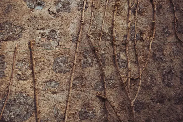 Красиво Текстурированная Сухая Каменная Стена Огромный Каменный Фон Зелеными Растениями — стоковое фото