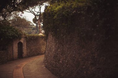 Meşhur Portofino 'nun dar sokakları. İtalya 'nın tarihi bir kasabasında, çiçek açan salkımlarla süslenmiş dar bir sokak. İtalyan Ortaçağ şehrinin romantik caddesi. 